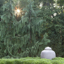 Modern Landscape