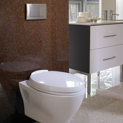 Toto Aquia wall hunging toilet - Toilets