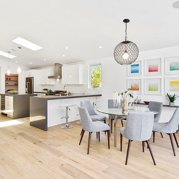Venice Beach Modern