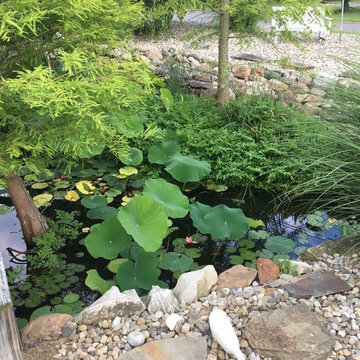 Pond build