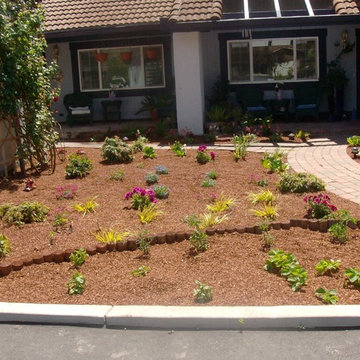New garden with new drip irrigation containing color plants and redwood bark