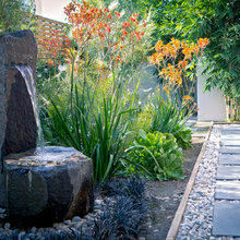 Yiping's patio