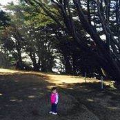 Bruce Reingold's photo
