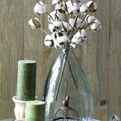 Idonna Love's photo