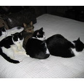 Lee Stephens's photo