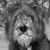 Lisa Skala's photo