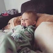 Trevor Lush's photo