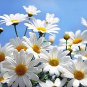 Paula Coombs's photo