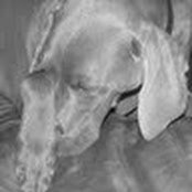 Stephanie Galba's photo