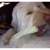 Tuck Doodle's photo