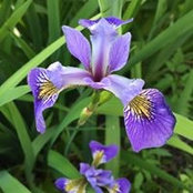 Gina Kaplan's photo
