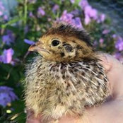Jessica Krauss's photo