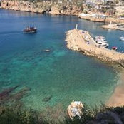 Nell Oz's photo
