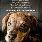 Darlene Long's photo