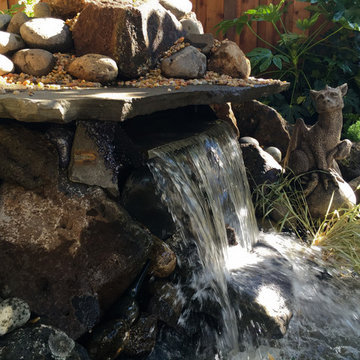 Playful, Secluded Shade Garden & Fairytale Pond