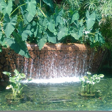 Beautiful Backyard Waterworks Transformations