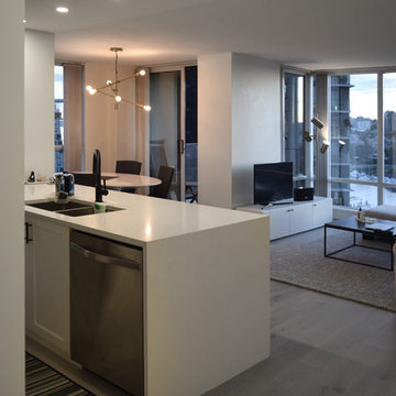 Richards condo renovation