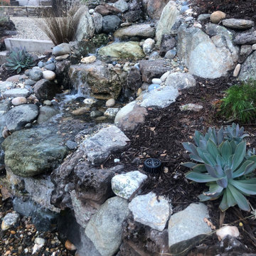 Incredible Award winning Lafeyette Garden