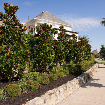 Evergreen Trees & Shrubs