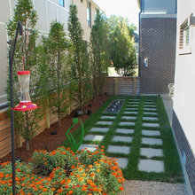 side yard ideas