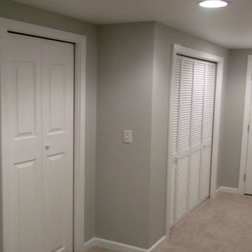 Basement Finish