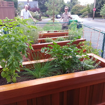 Mr. "Roger's" Street Trees & Rolls Royce Garden Beds
