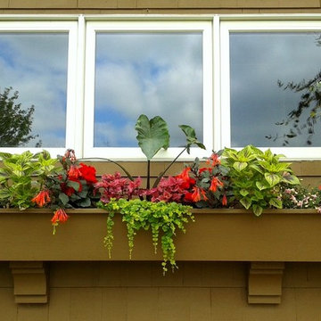 Summer Container Garden