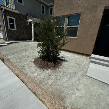 Before Picture