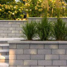 Landscaping Idea