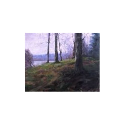 Forest Canvas Prints - Artwork