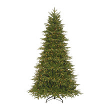Xmas