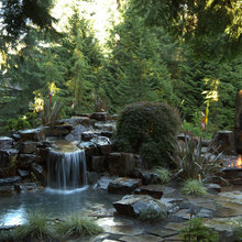 Pond