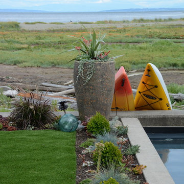 Contemporary Seaside Garden