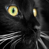 Robyn Schaefer's photo