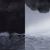 Nichola Clark's photo