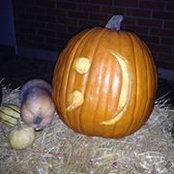Pam Galvin's photo
