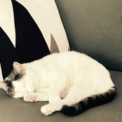Foto von meghan_poperowitz