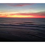 Steven Bucher's photo