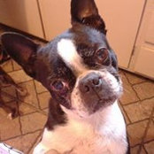 Sarah Hatley's photo