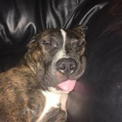 Nathan Doyle's photo