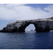 Wendy Guionnet's photo