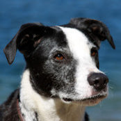 Terese Tatum's photo