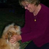 Patty Albright's photo