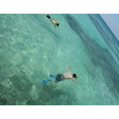 Junjie Zhang's photo