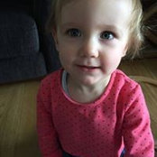 Patrick Mulholland's photo