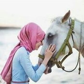 Photo de Alaa Ali