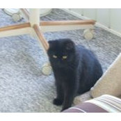 Mary Boucher's photo
