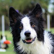 Chris Hill's photo