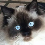 Foto von Tina Kat