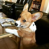 Pam Palka Kahn's photo